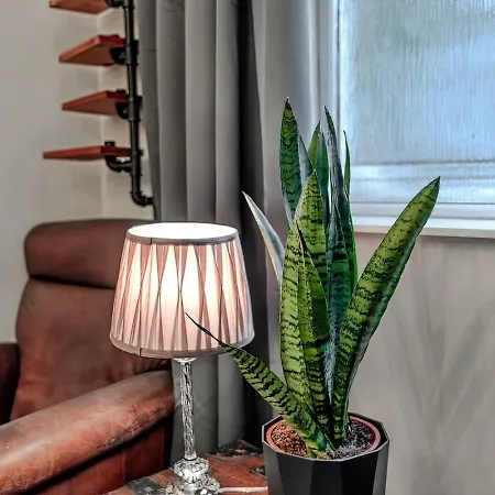 Flat With Parking Apartment *