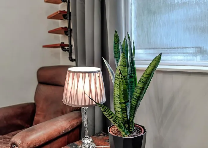 Pet-friendly Flat W/ Garden Patio & Smart Tv 公寓 *